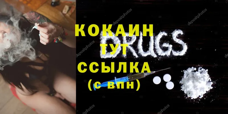 где найти   OMG вход  Cocaine Эквадор  Новосиль 